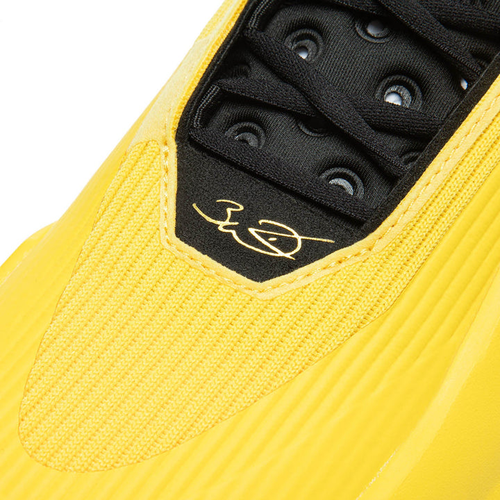 Way of Wade 11 "Gold & Purple"