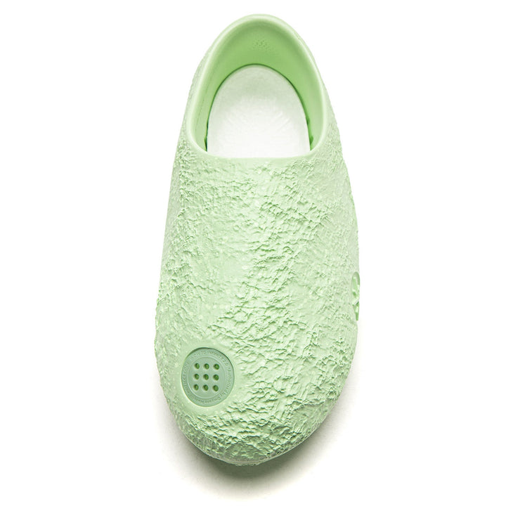Lunar Rock "Avocado"